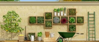 Изображение: design