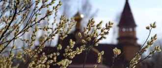 Изображение: design