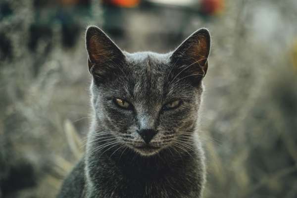 Эти 12 способов научат вас управлять своим гневом