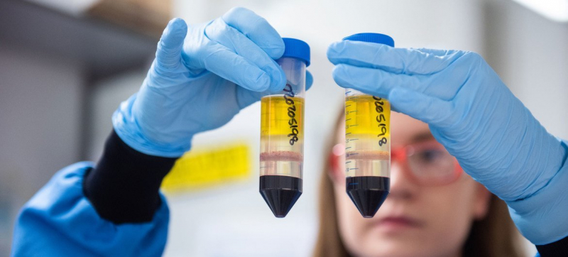 Как выбрать профессию, которая выдержит перемены: советы карьерного консультанта Колумбийского университета